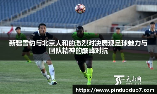 新疆雪豹与北京人和的激烈对决展现足球魅力与团队精神的巅峰对抗